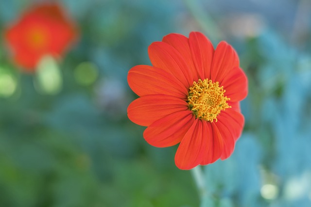 再续一人！iG官方：打野选手ei完成续约