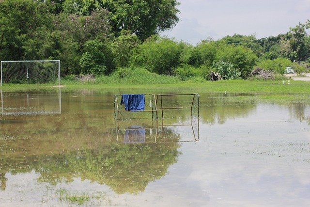 停球都能停出艺术感