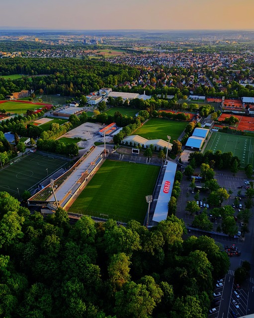 足协杯半场：法比奥梅开二度，王刚伤退，国安2-0河南